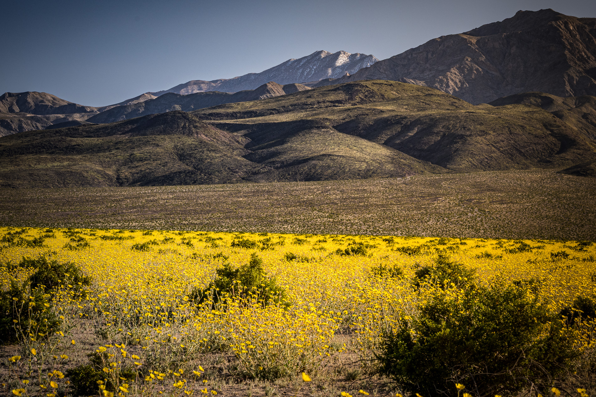 Death Valley NP